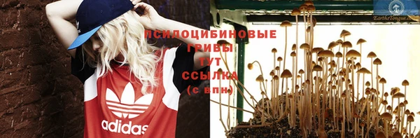 скорость Михайлов