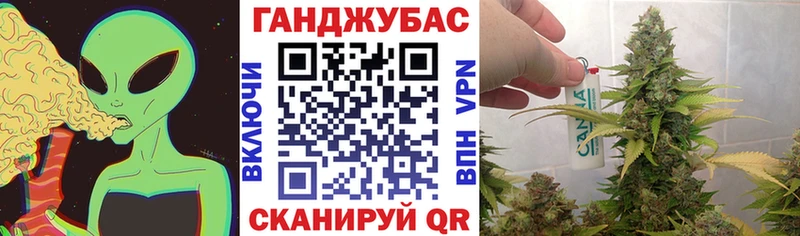 купить наркотики цена  Пионерский  МАРИХУАНА индика 